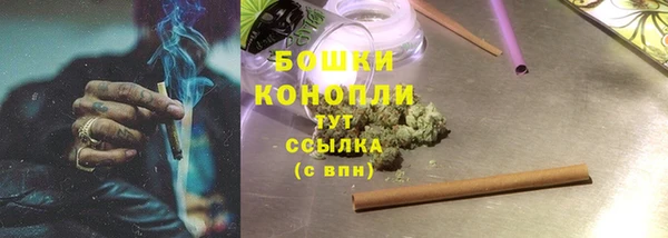 крисы Армянск