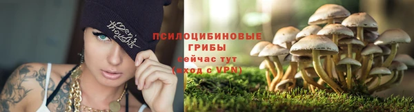 крисы Армянск