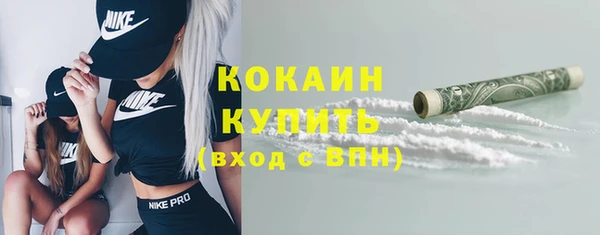 крисы Армянск