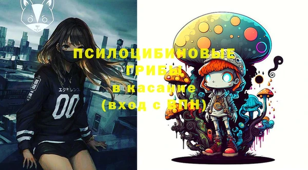дурь Арсеньев