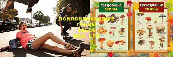 крисы Армянск