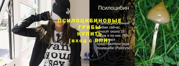 крисы Армянск