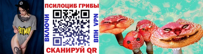 как найти закладки  Городовиковск  Галлюциногенные грибы мицелий 